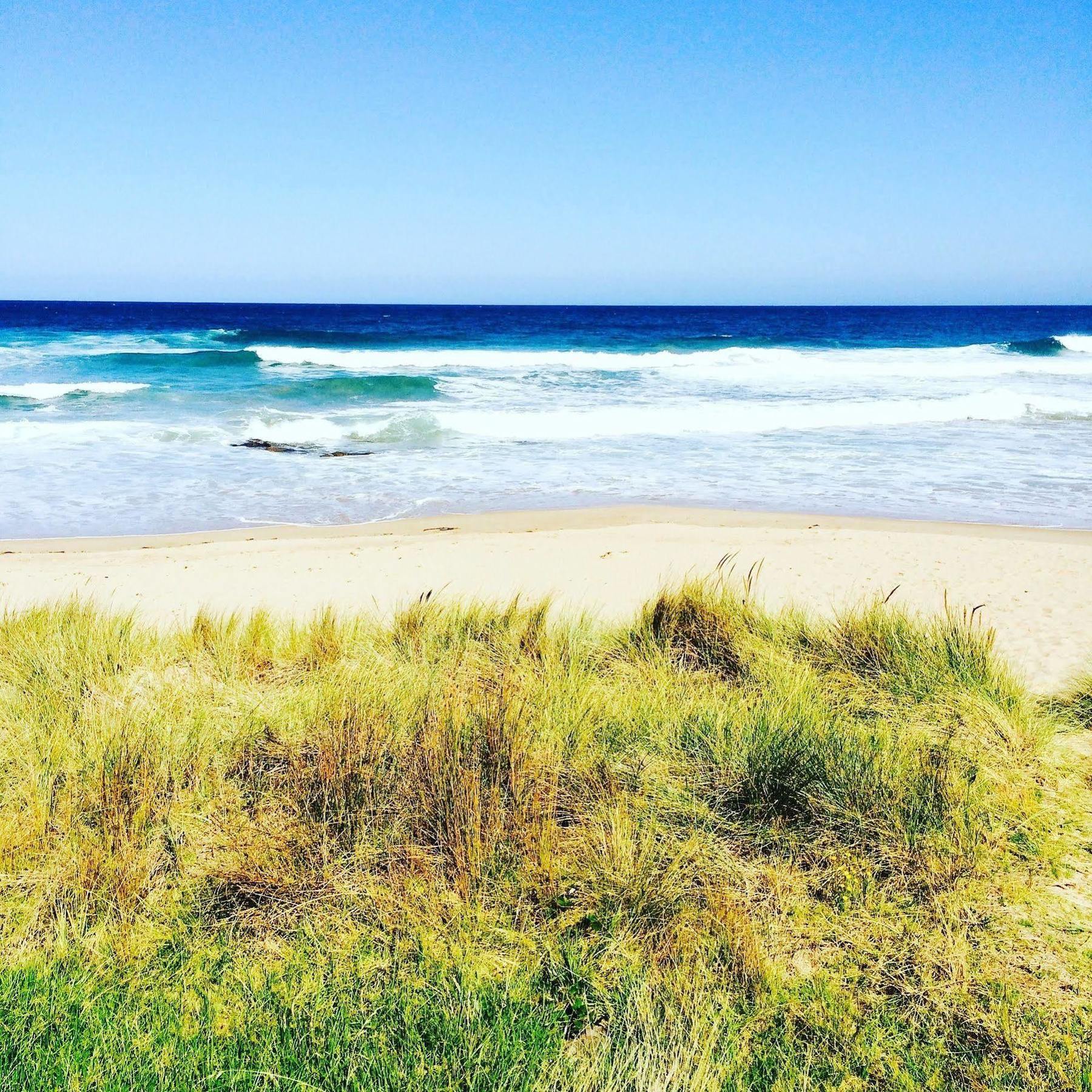 Blue Ocean Motel Apollo Bay Dış mekan fotoğraf